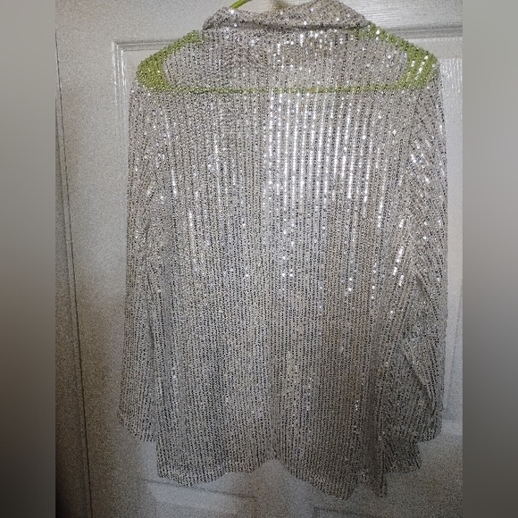 Semi sheer sparkley cover up - Picture 2 of 5